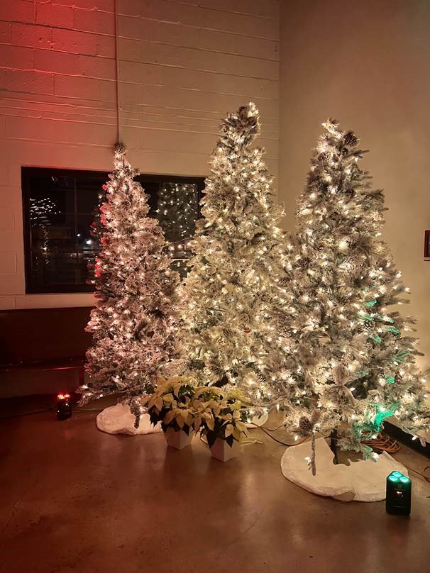 A group of Christmas trees with lights

Holiday decor

Holiday Party